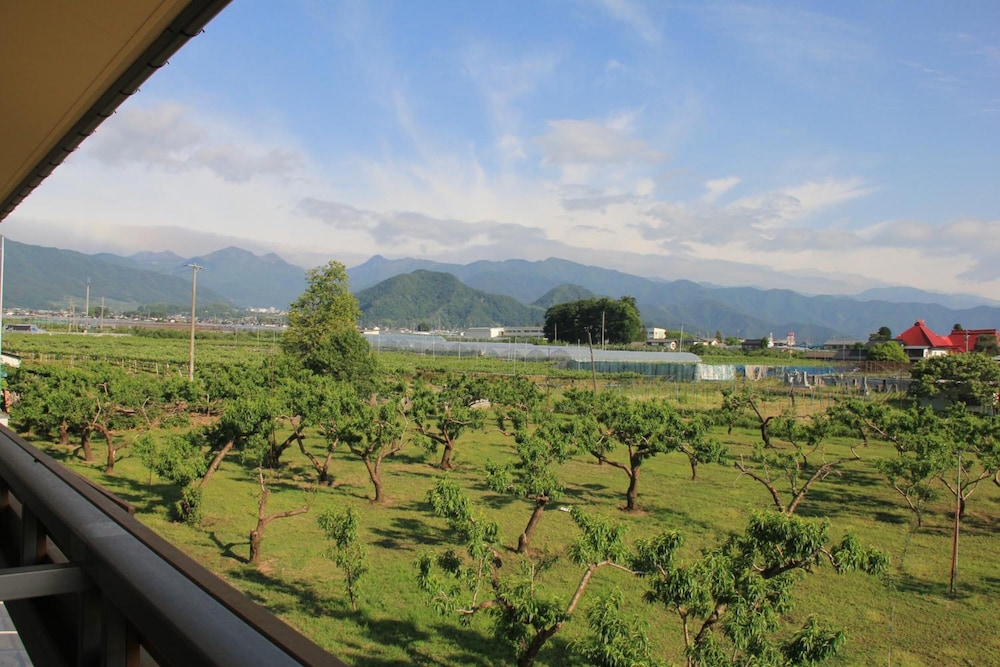 Photo 10