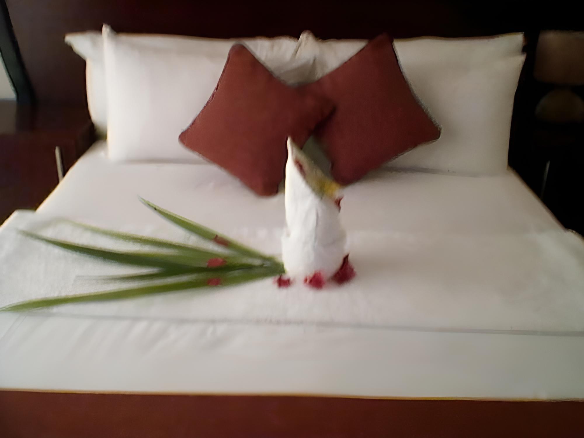Okavango Roadside Guesthouse