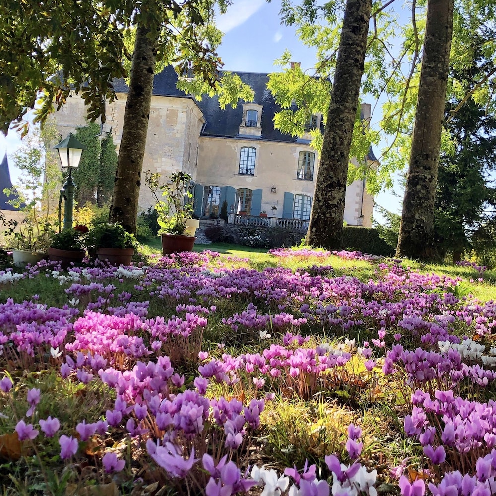 Château de La Celle Guenand