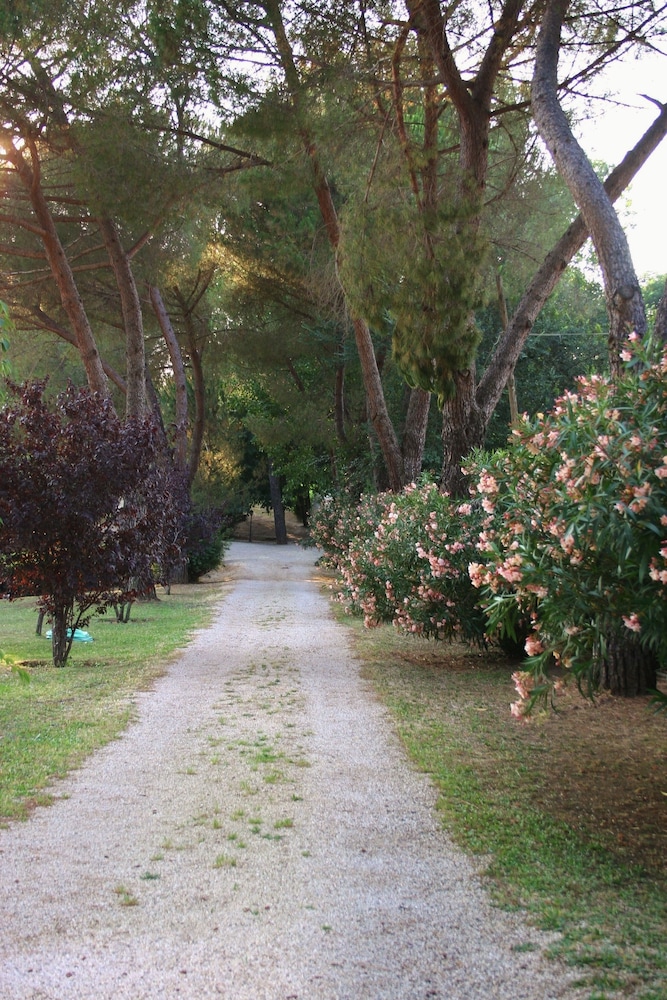 Green Oasis B&B