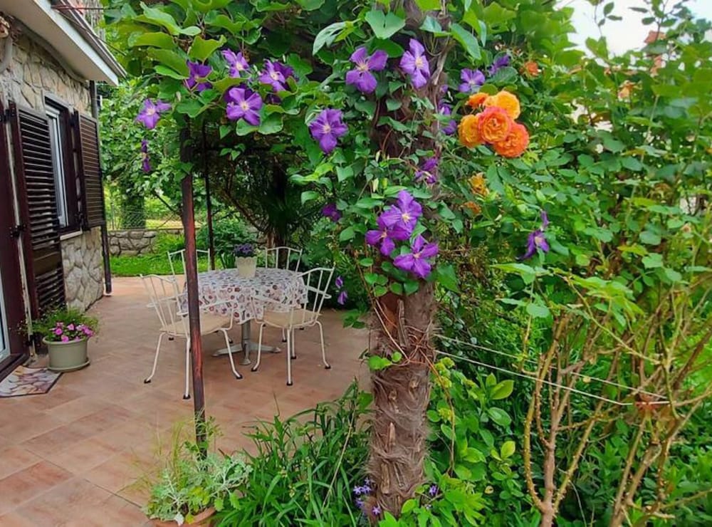 Green Garden Oasis