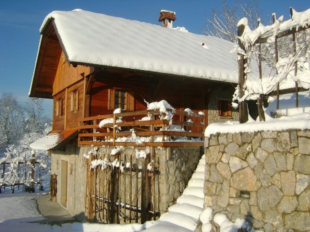 Photo 11