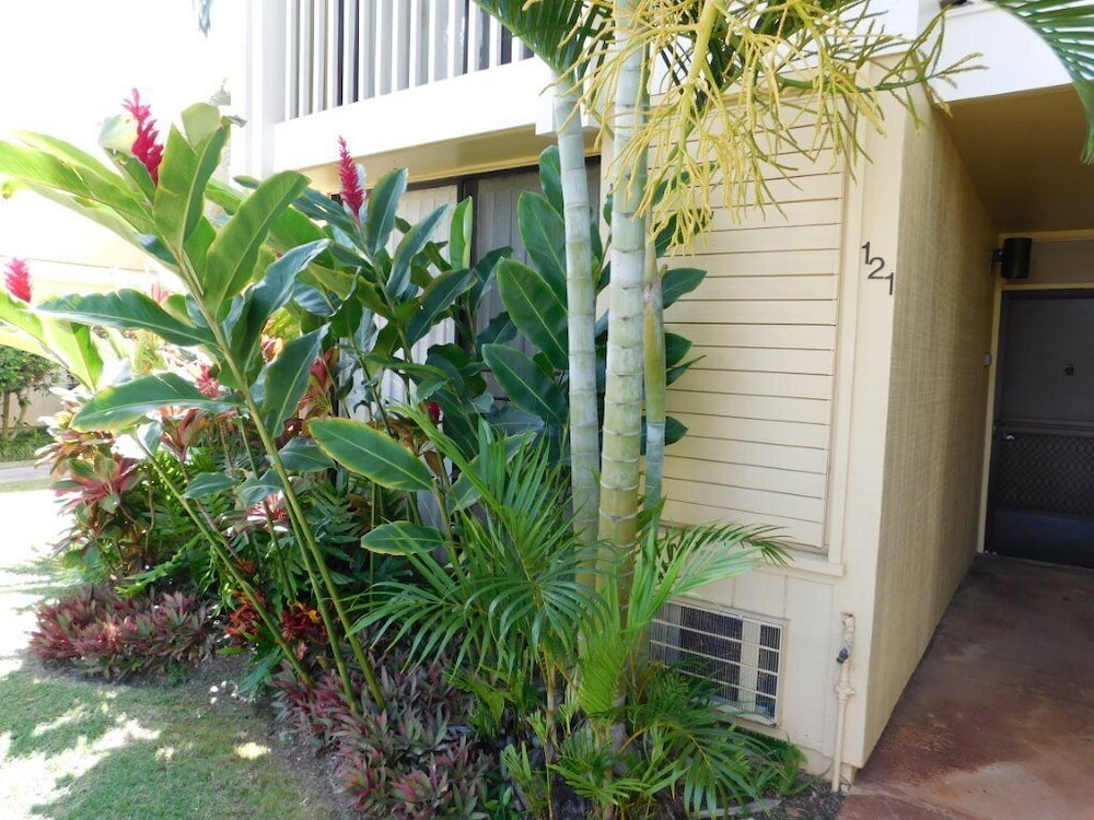Turtle Bay Guava**ta-009966796801 1 Bedroom Condo by RedAwning