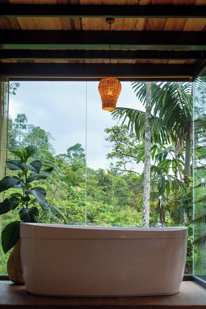 Cedro Amazon Lodge
