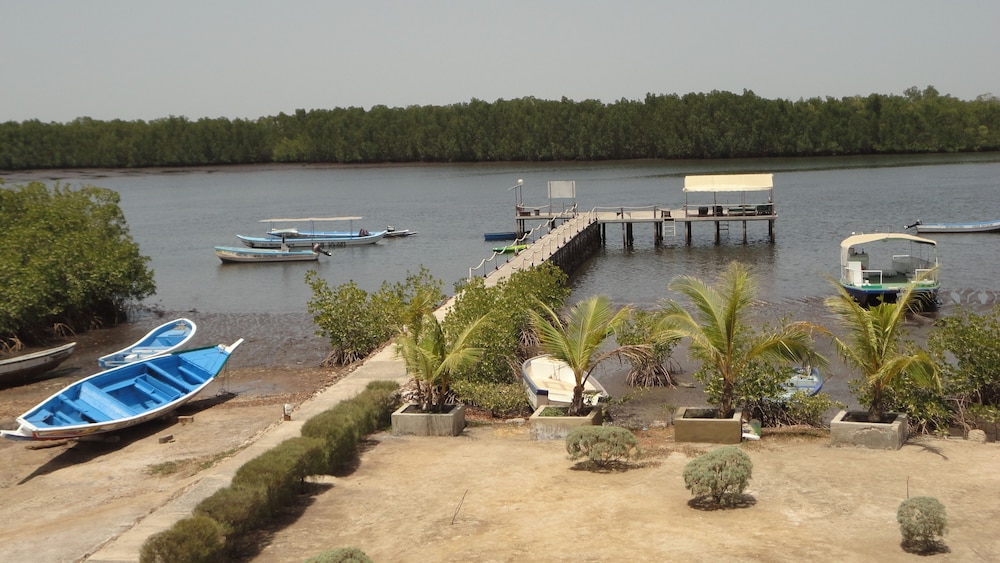 Photo 41