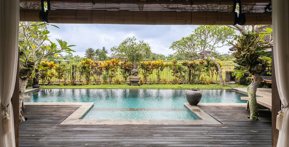 Devi's Place