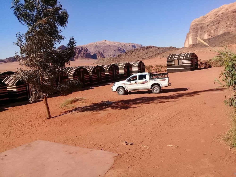 Wildlife Camp