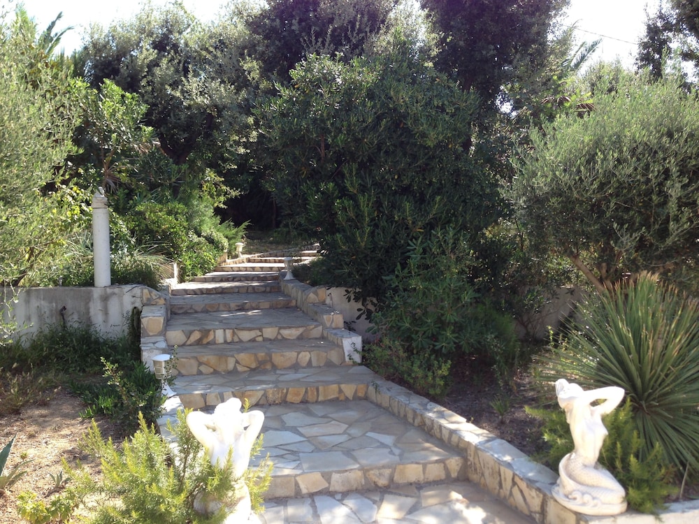 Photo 28