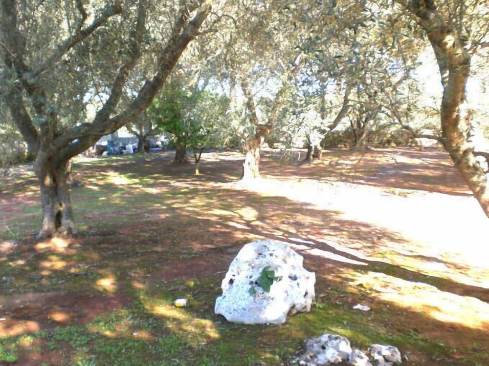 B&B La Casetta di Maria photo 5