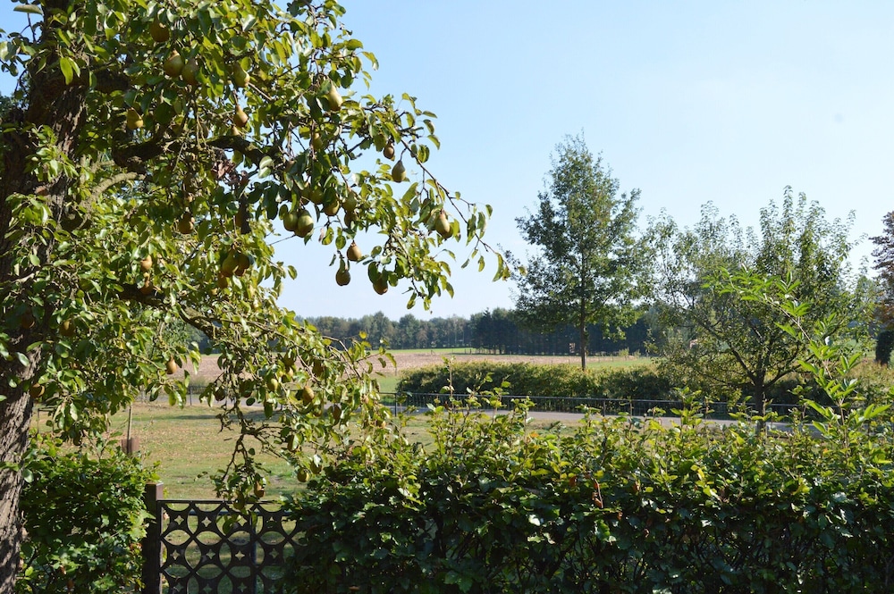 Spacious Holiday Home in Rekken With Hot Tub view 2