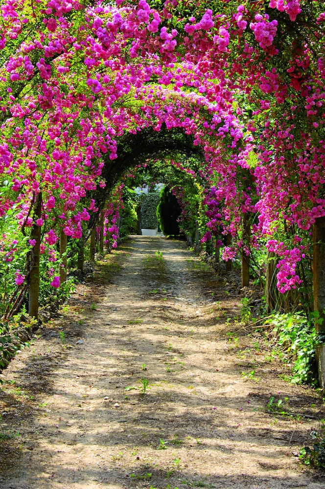 Quinta de São Lourenço view 4