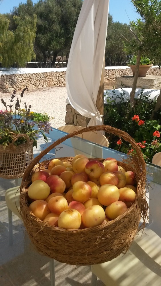 Agroturismo Biniati Des Pi