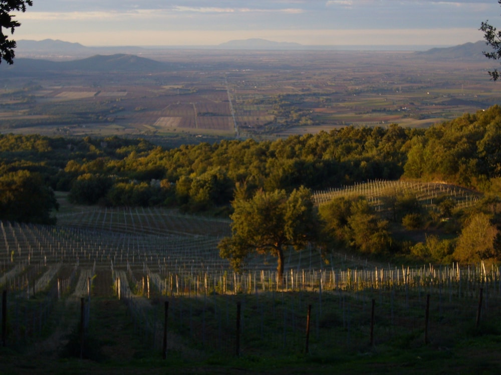 Valdonica Winery & Vineyard Residence