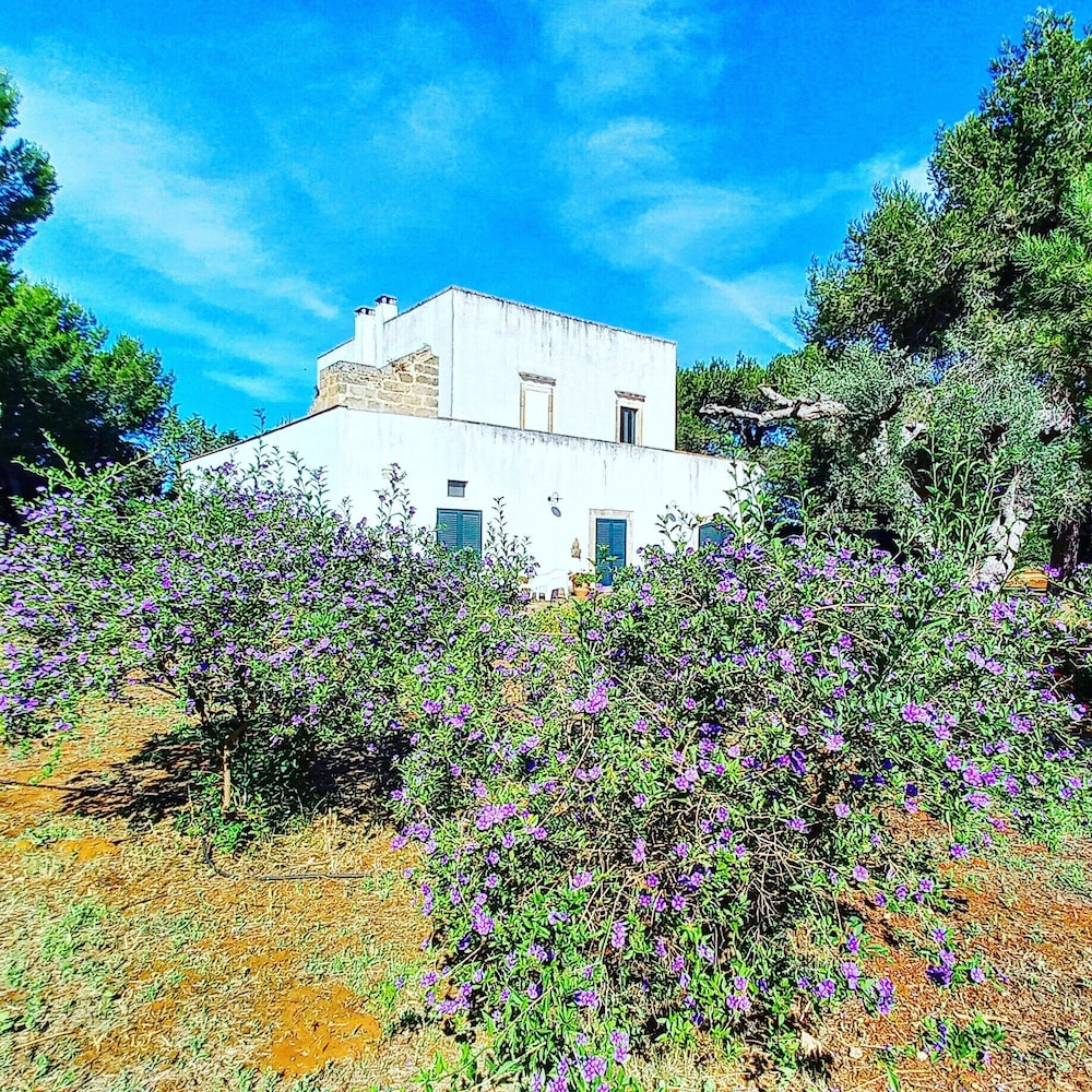 Masseria Fracchicchi
