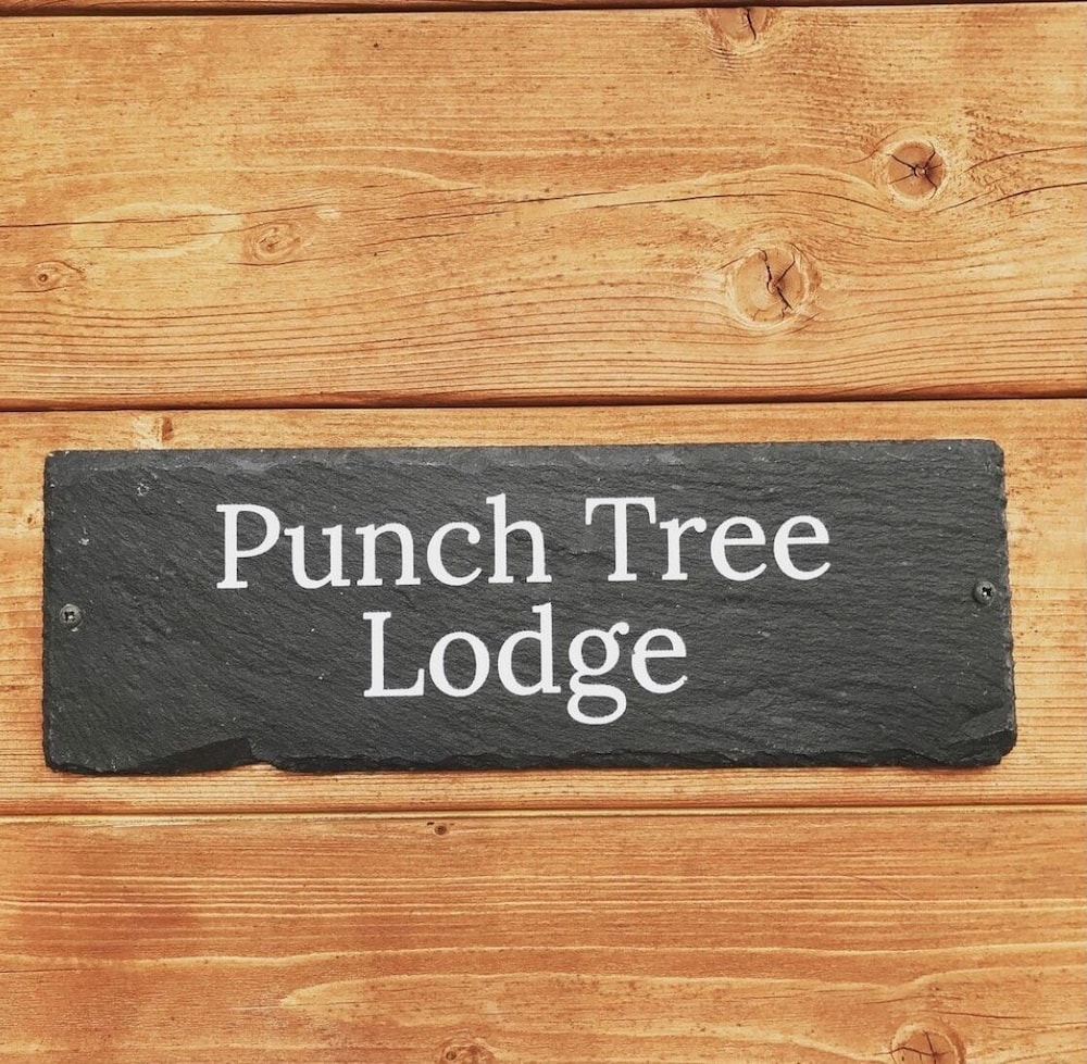 1-bed Cabin, 2 Adults, Wood Burning Hot Tub & Fire view 3