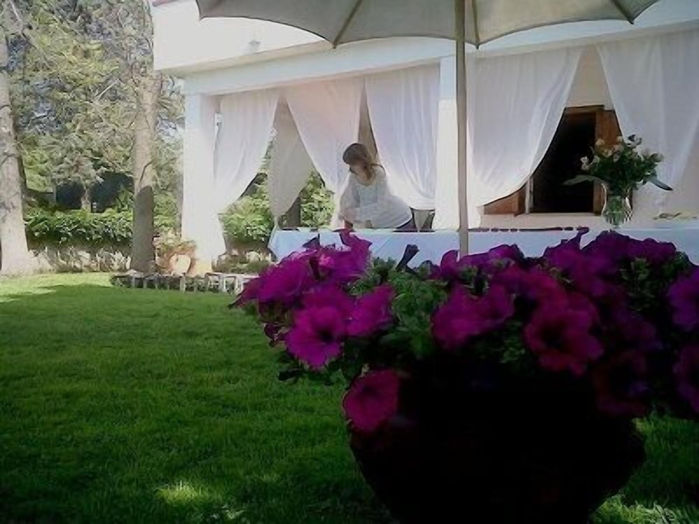 B&B Aloisio
