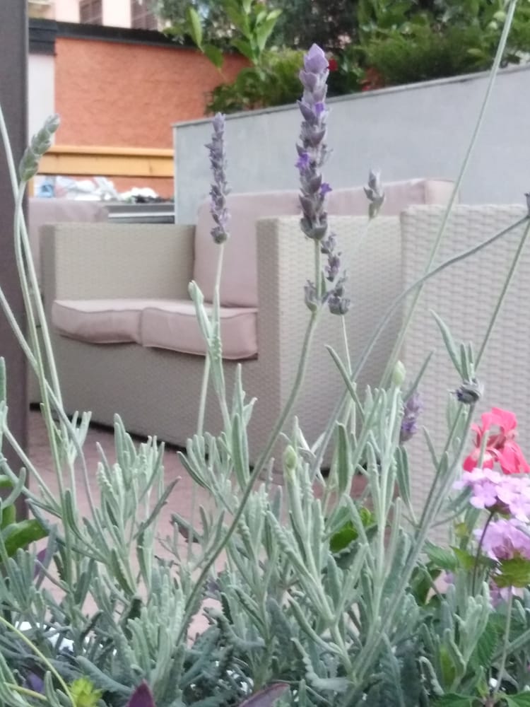 Outdoor Space