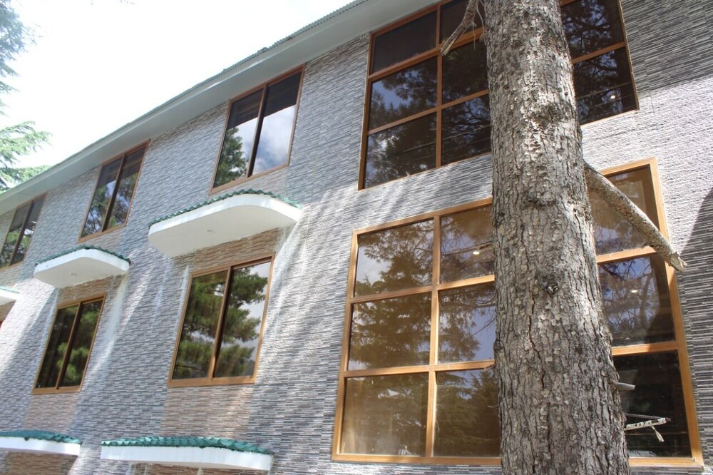 Pine Park Lake Luxury Resort Naran view 4