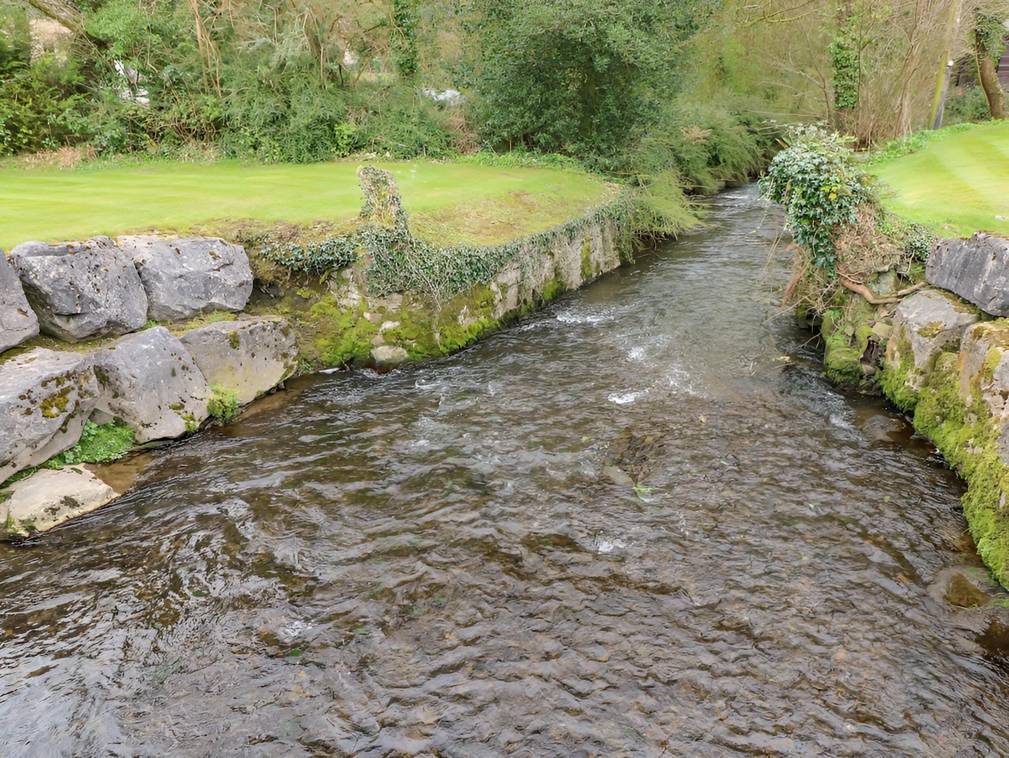 Photo 25
