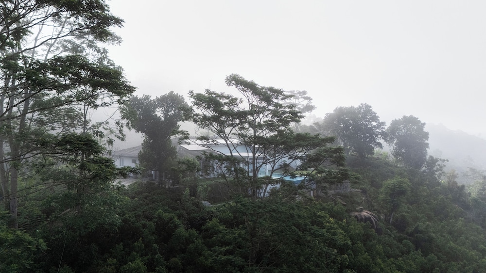 Camelia Ranch