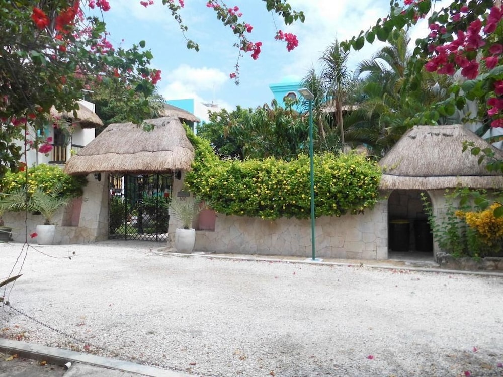 Casa Gatos