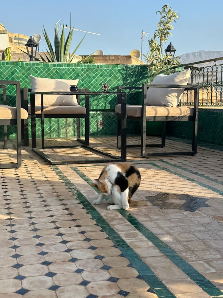 Riad citronnier