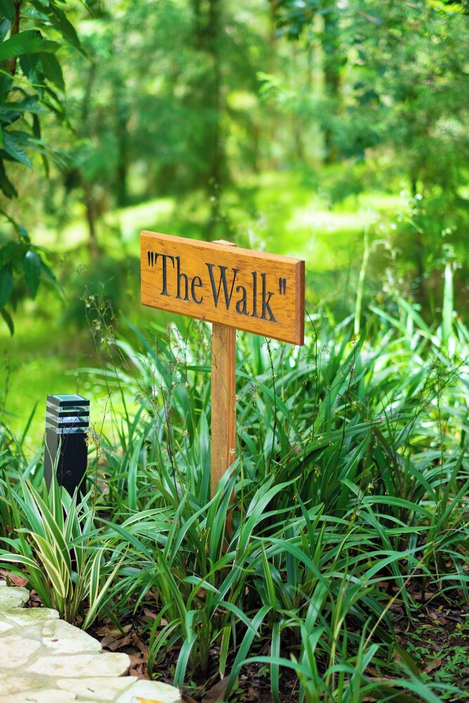 The Grand Forest Jarabacoa