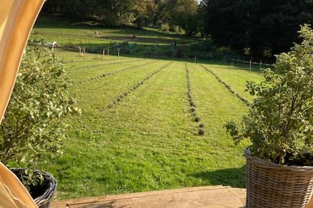Flower Farm Glamping Retreat in Suffolk