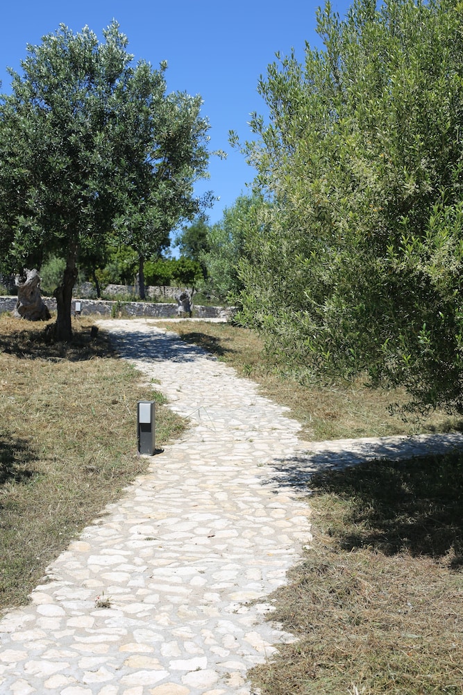 L'Albitru