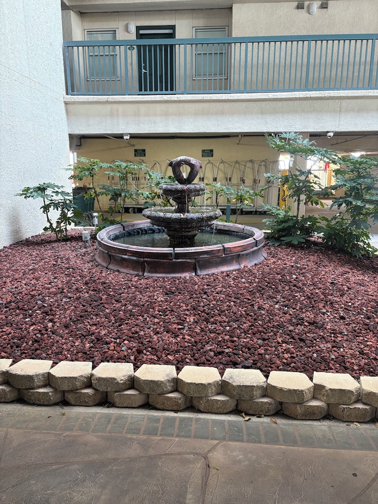 Picture Perfect- Oceanfront Condo