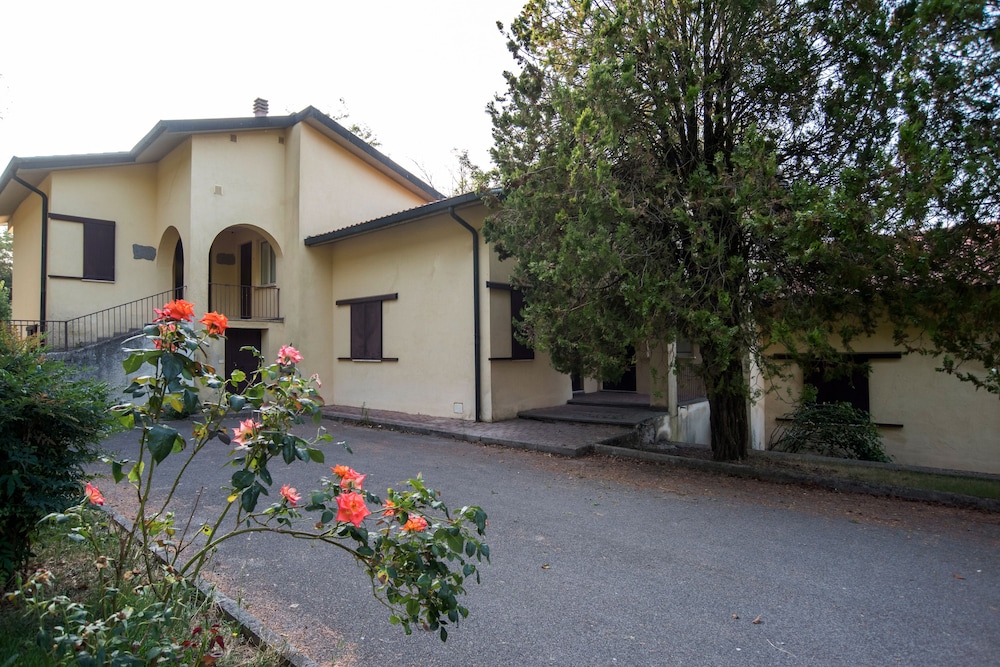 Photo 21