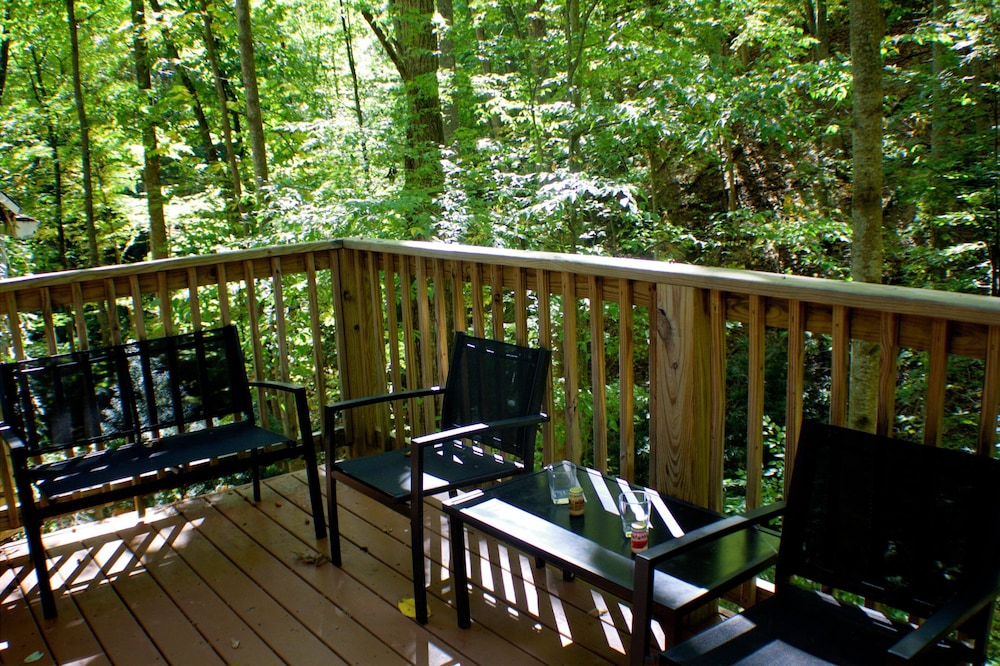 Scenic Solitude 3 Bedroom Cabin