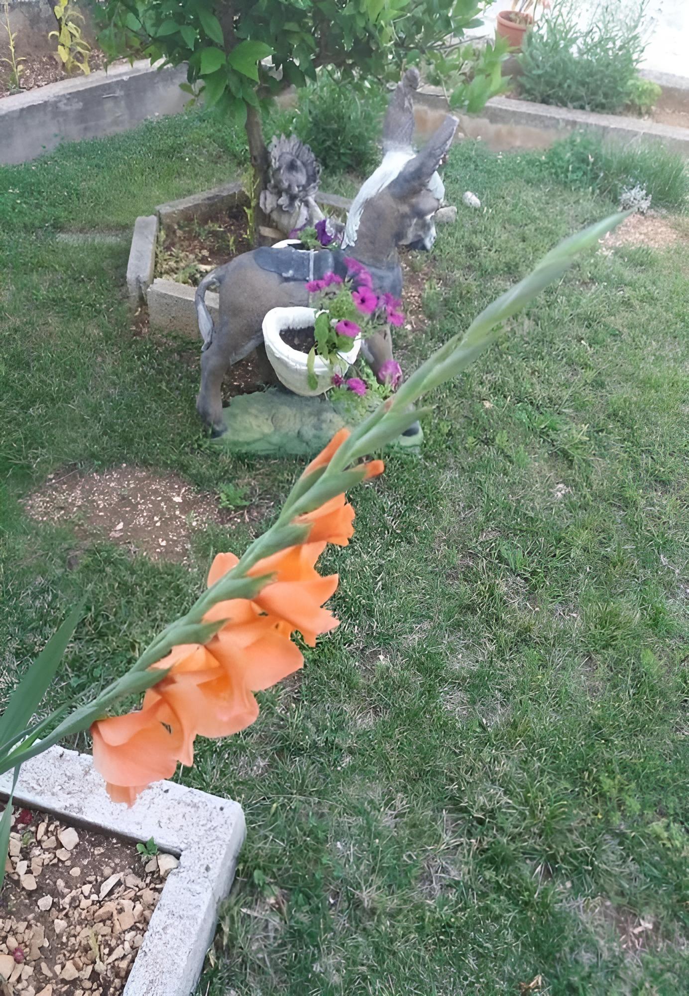 Photo 21
