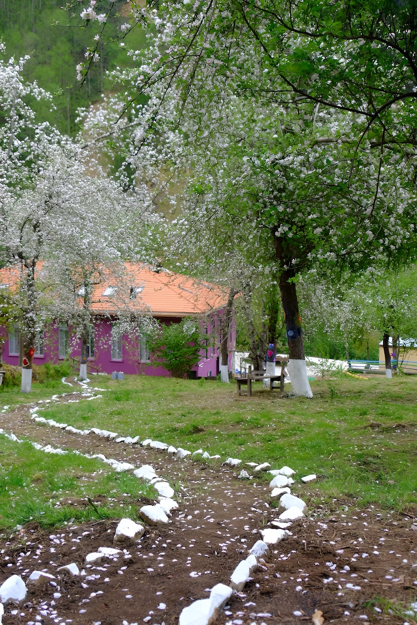 Nordic Hotel
