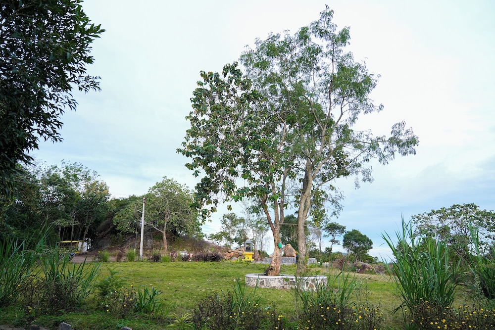 BlueHill Lotus Holistic Wellness Village
