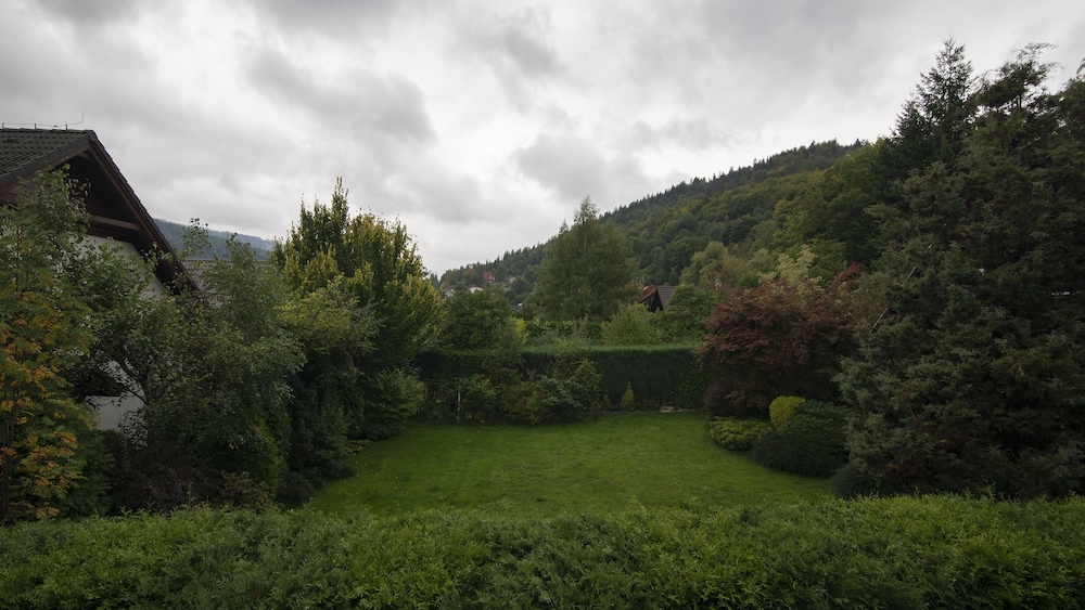 Photo 25