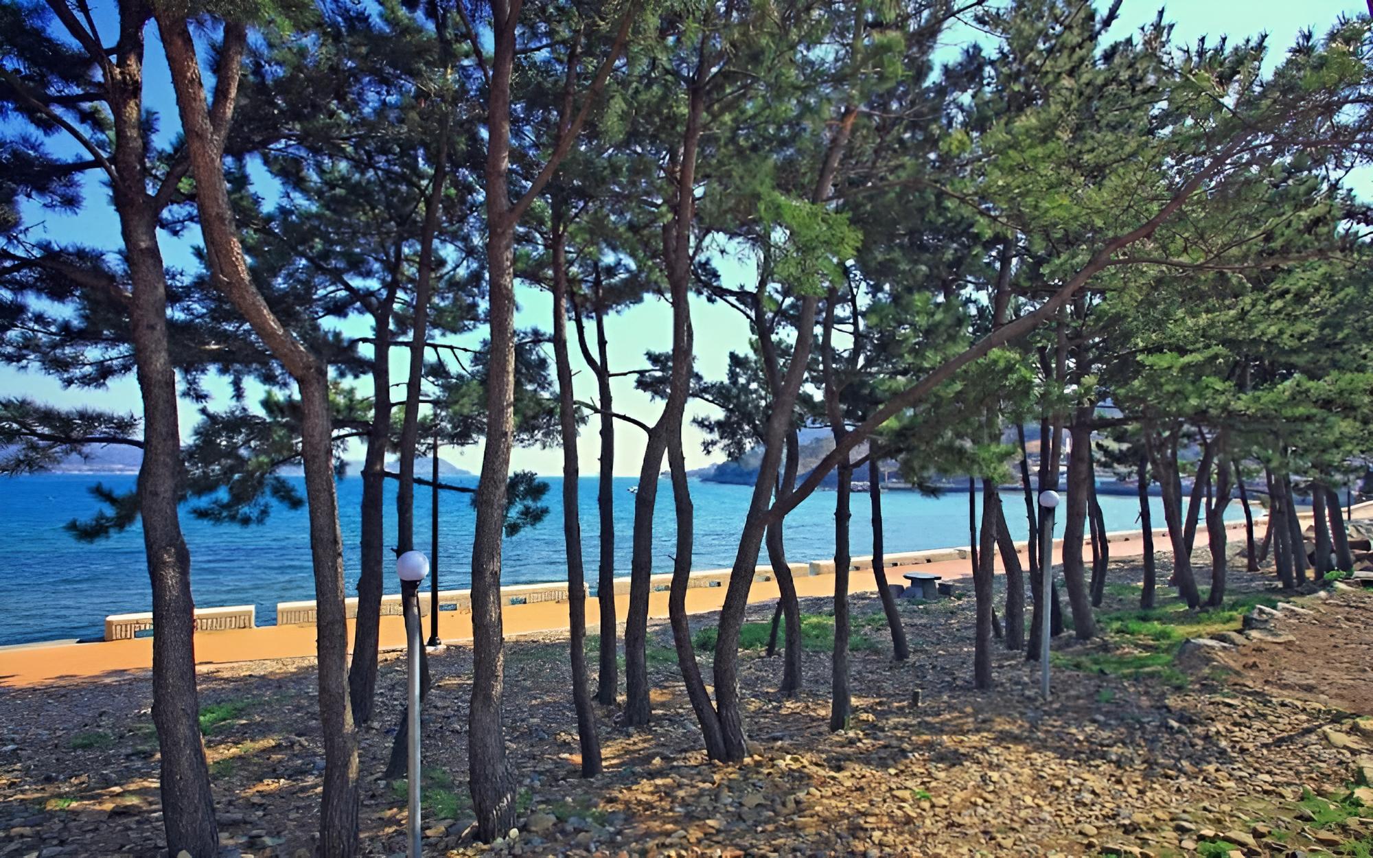 Photo 142