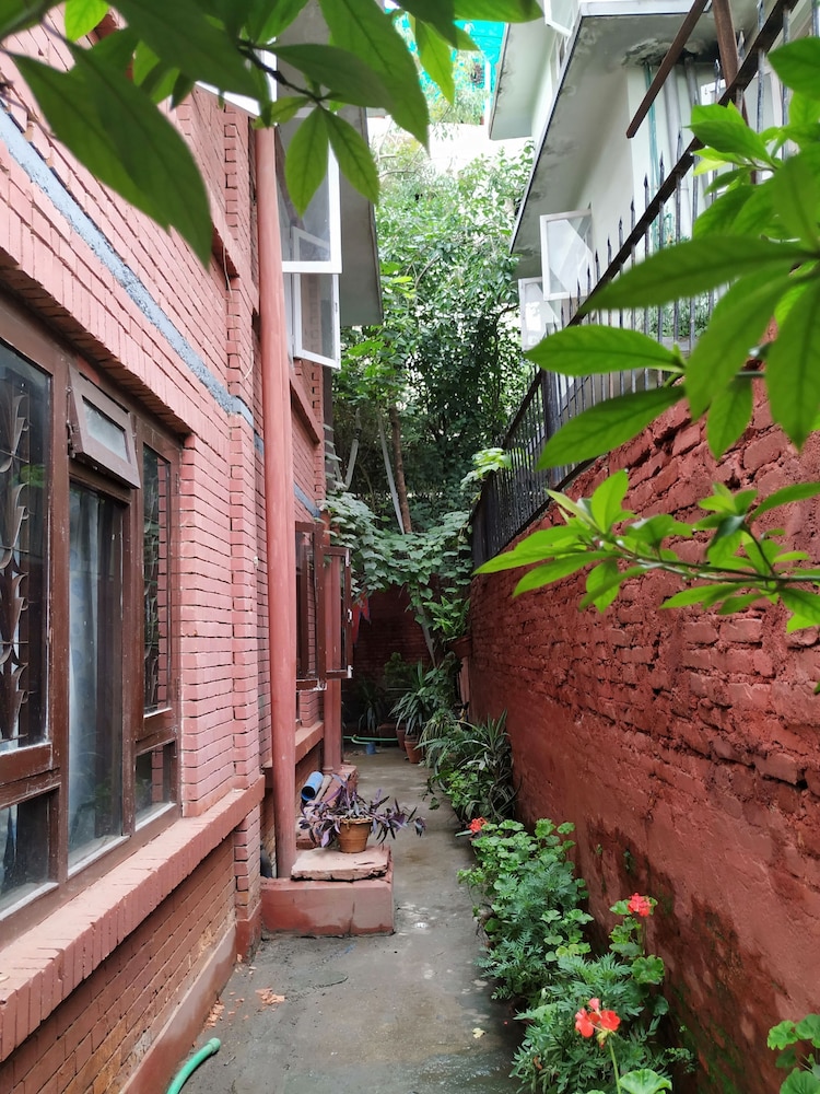 Photo 43