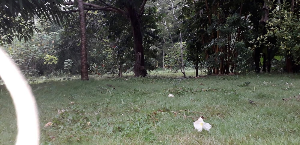 Photo 32