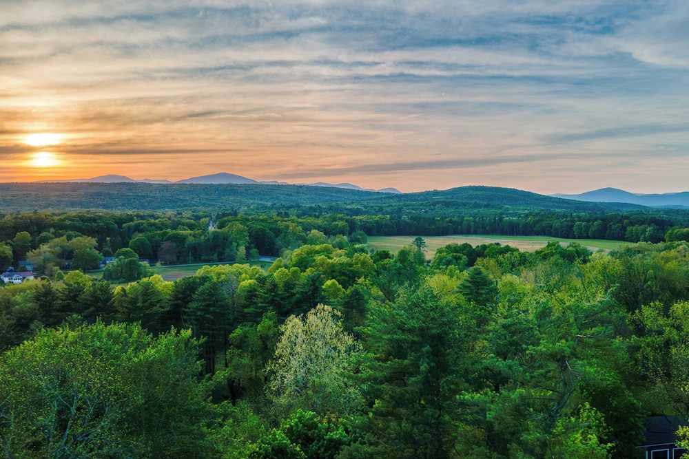 Relax in Style at Historic Modern on Main With Modern Amenities & Wooded Views
