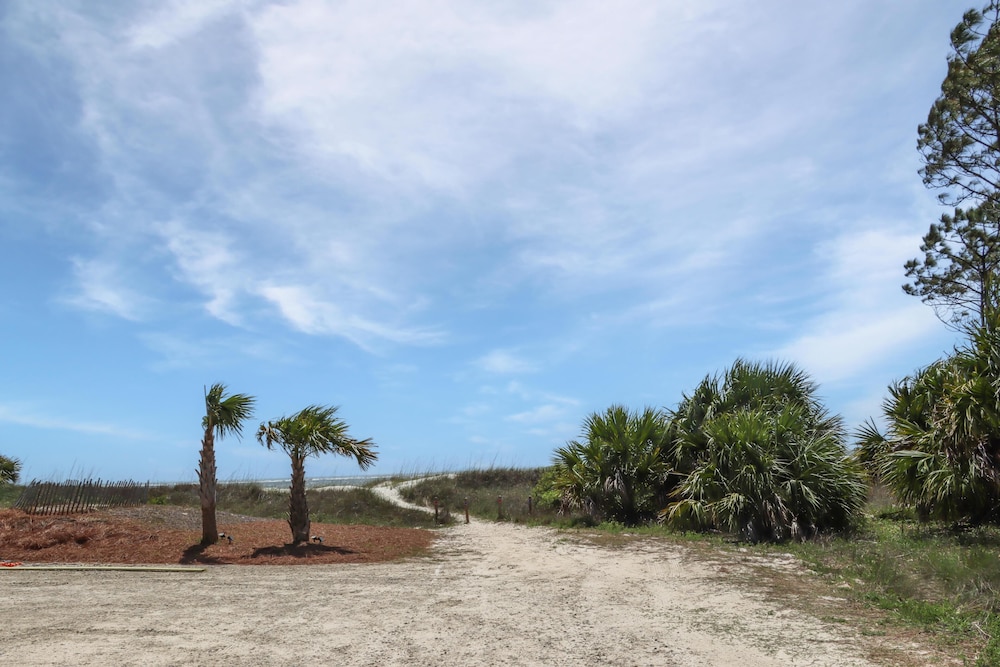 Palmetto Breeze