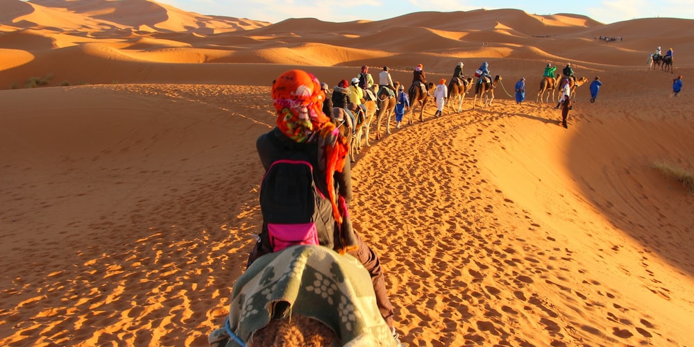 Sahara dunes Luxury Camp