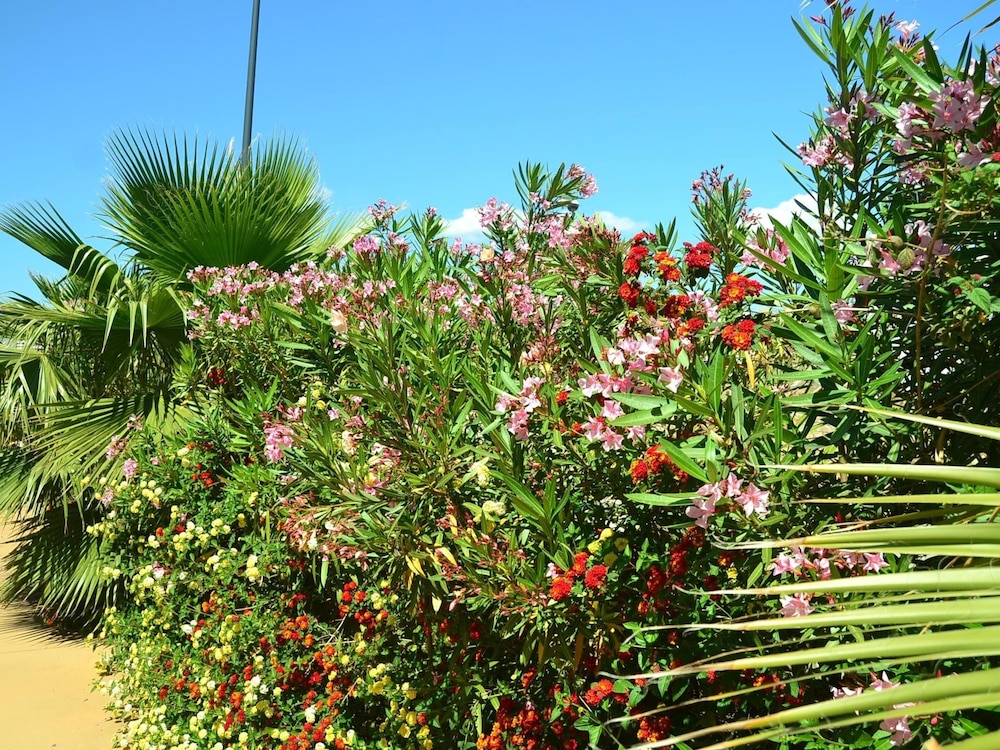 Belvilla by OYO Holiday Home in Alghero