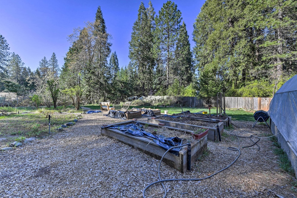 Grass Valley Vacations - Peaceful Grass Valley Cottage w/ BBQ Grill  Yard! - Property Image 4