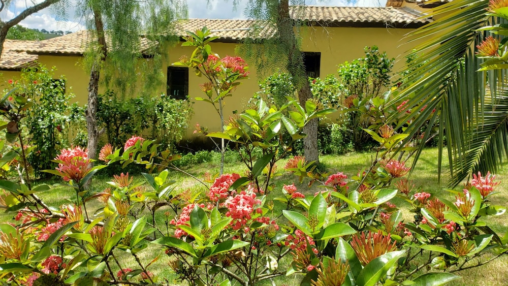 Photo 43