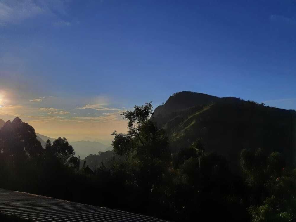 Photo 32