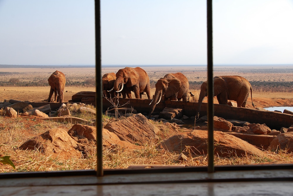 Voi Safari Lodge