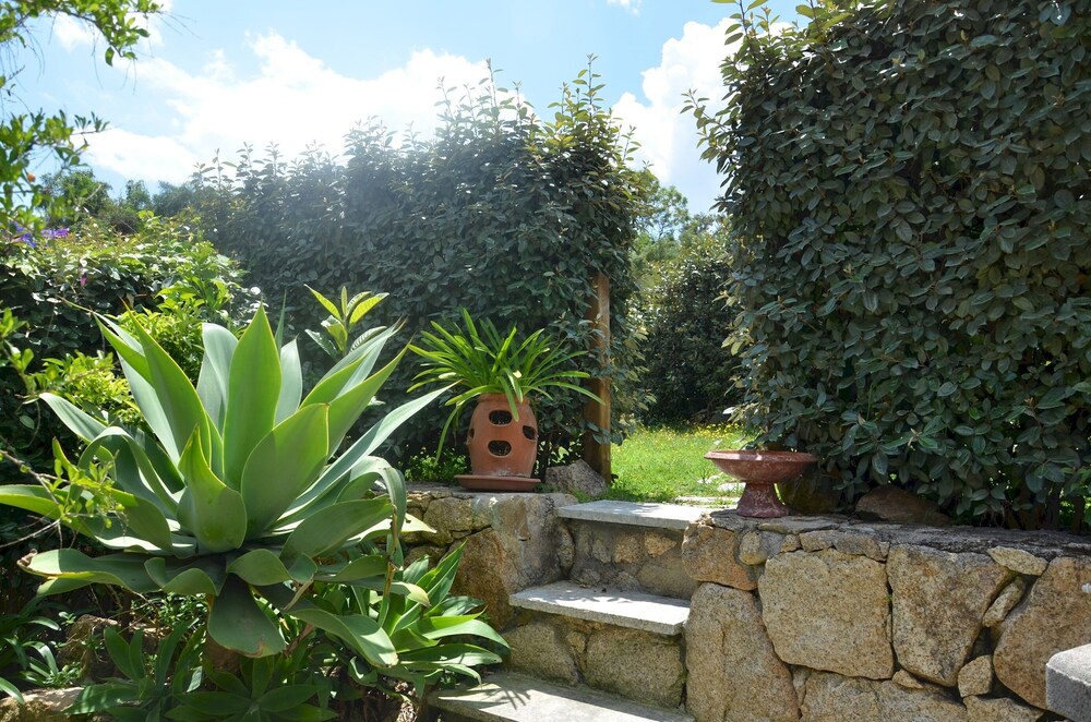 Photo 25