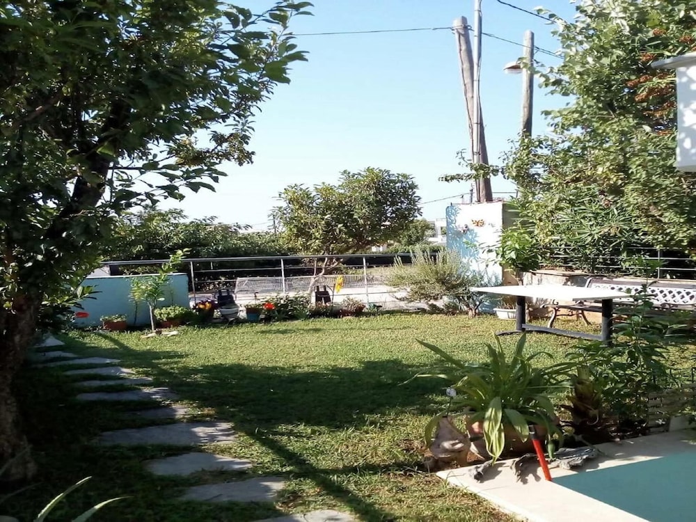 Photo 23