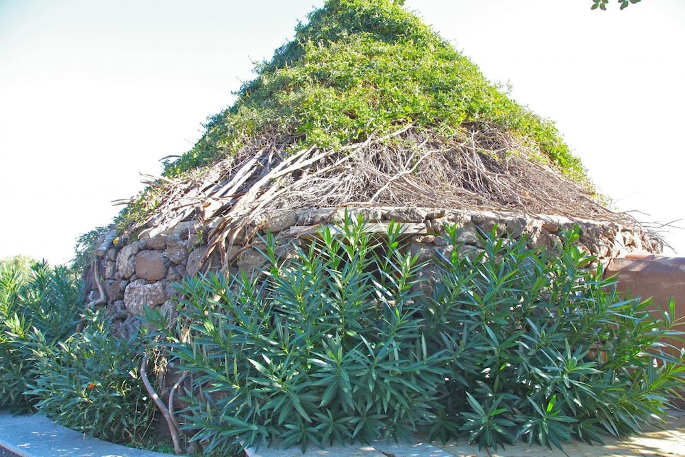 Photo 52